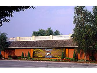 Sight & Sound Theatre Presents: Psalms of David