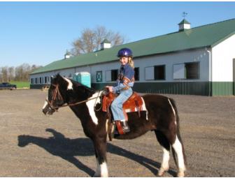 1 month of free riding lessons