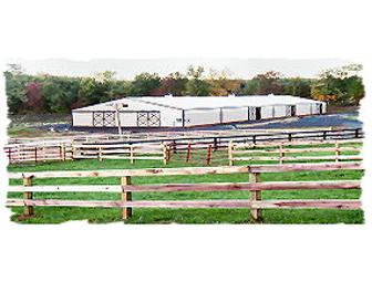 1 month of free riding lessons