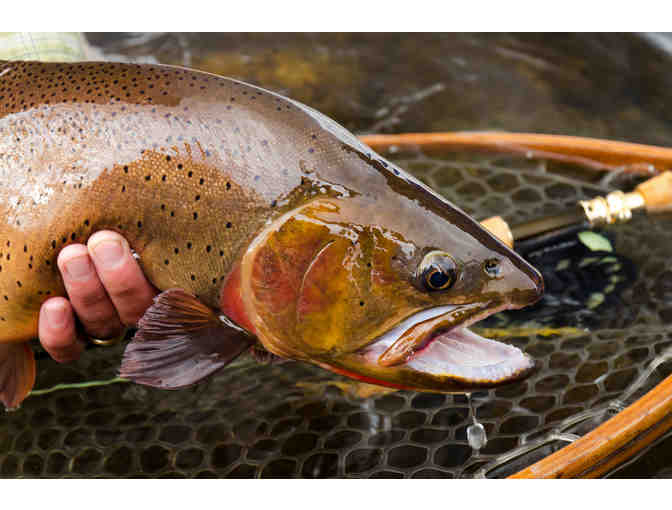 SOLD FOR BUY NOW PRICE OF $5,000-Ultimate Guided Fly Fishing Experience