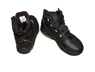 Nickelodeon's Devon Werkheiser's Nike Zoom Lebron III