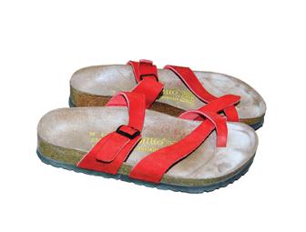 Rona Barrett's Easy Spirit Shoes