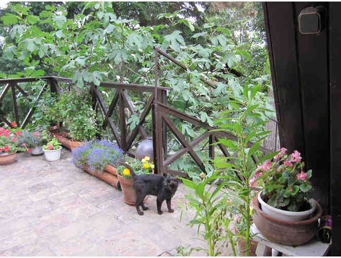 BUDAPEST, HUNGARY - Guest Cottage