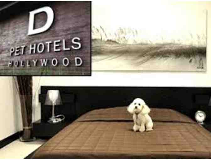 D Pet Hotels 3 Night Stay & 5 Days of Doggie Daycare