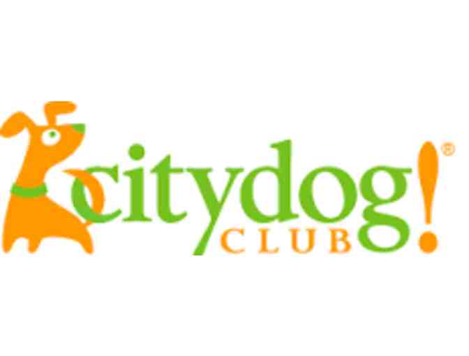 Citydog! Club 5 Days of Dog Daycare