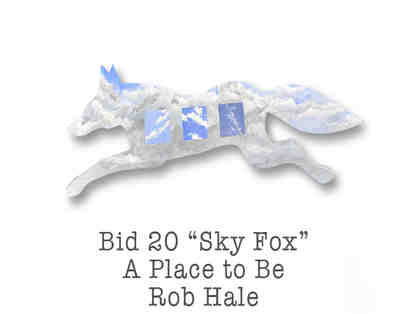 "Sky Fox"