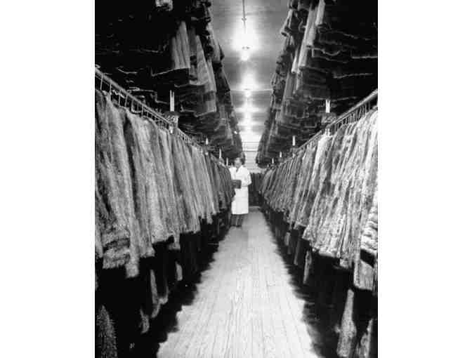 Storage of one furcoat or jacket for one season