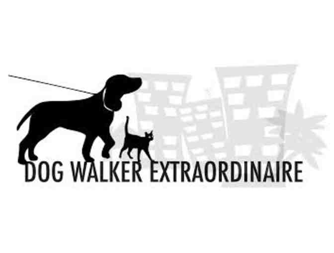 2 - 30 minute dog walks with Zack Peat