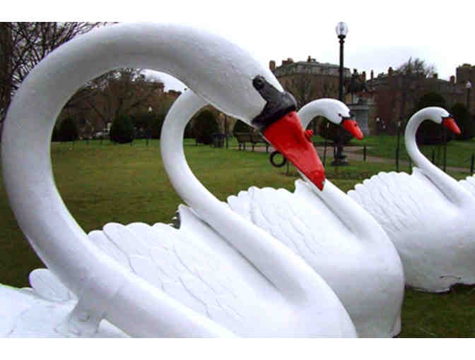 10 - tickets to ride the Swan Boston in the Public Garden / Boston