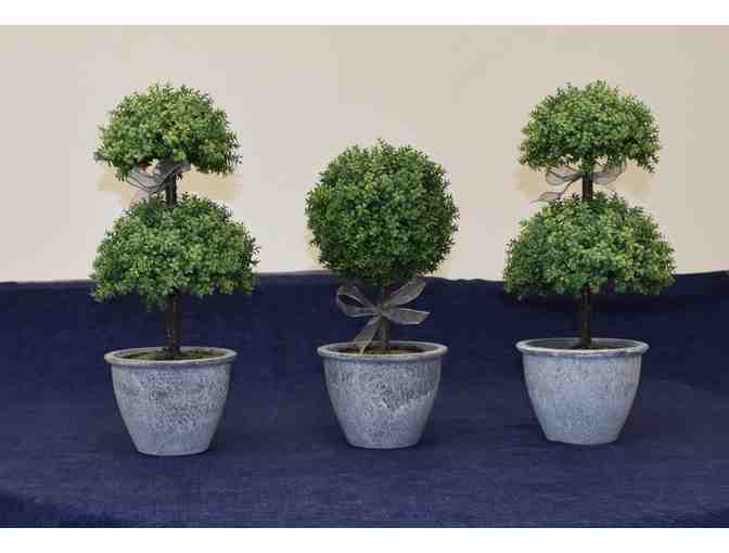 3 Mini Topiary Arrangement