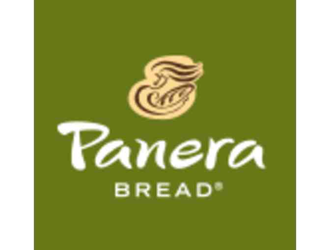 3 - $10 Gift Cards from Panera Bread - Photo 1