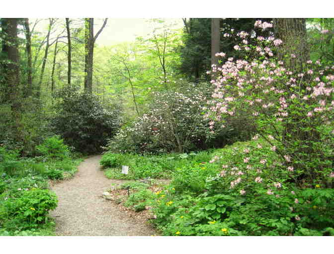 4 Passes to Garden in the Woods - Photo 3