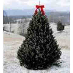 Baiting Brook Meadow Farm / Whittemore-D