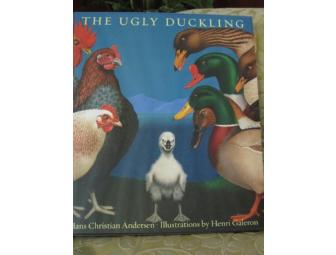 Gorgeous Picture Book - The Ugly Duckling