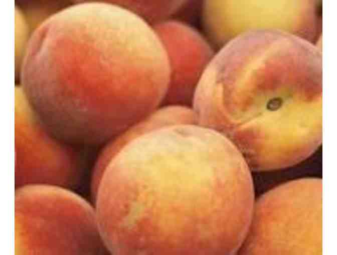 Two Passes to Belkin Lookout Farms