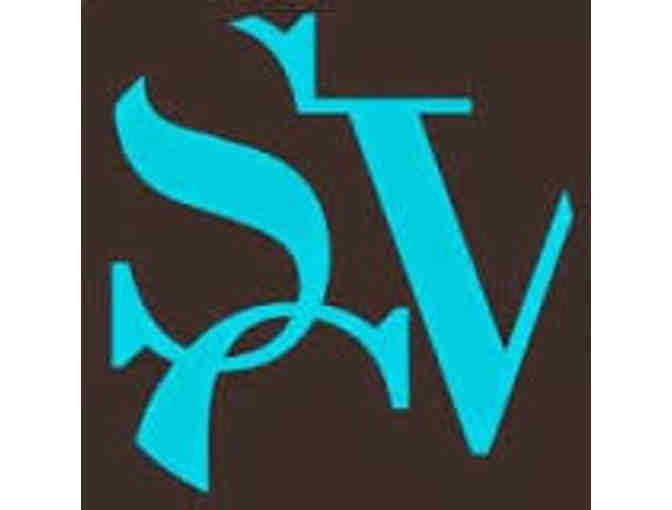 School of Visual Concepts - $500 class voucher