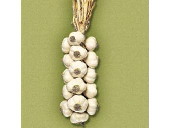 A 'Stinking Rose' Garlic Braid!