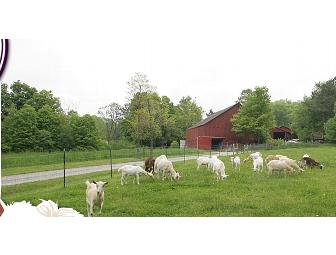 Artisan Cheesemaking Weekend for Two!