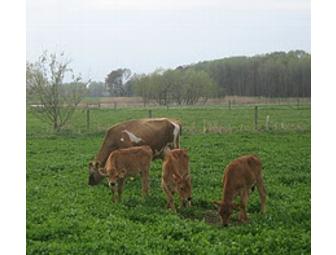 Kid's Day on the Dairy Farm for 25!