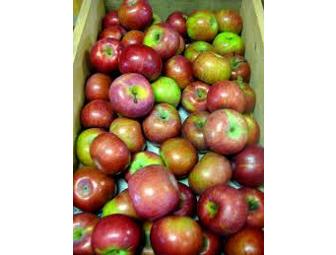 Apples to Apples 1 from Black Rock Orchard