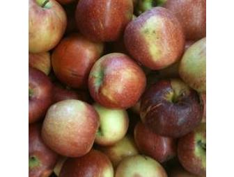 Apples to Apples 2 from Black Rock Orchard