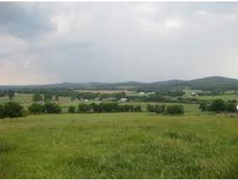 American as Apple Pie Guesthouse Stay