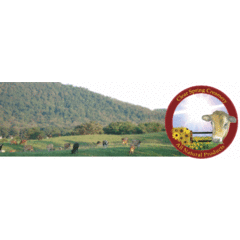 Clear Spring Creamery