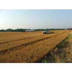 Magnolia Bread Company