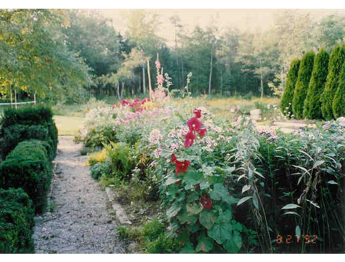 Garden Design Consultation -  from Julie Wang of Blue Poppy Gardens