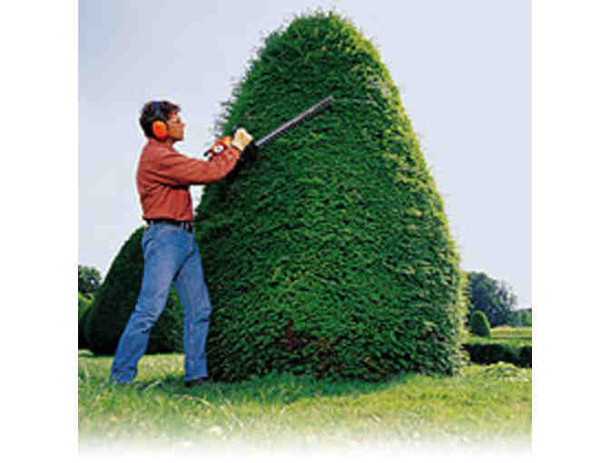 Lawns in Order Gift Certificate