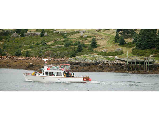 Puffin Boat Trip - 2 Tickets
