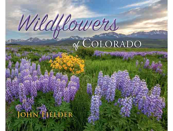 Photographic / Wildflower Hike With John Fielder