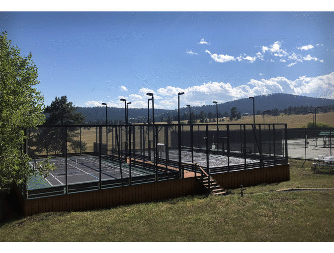 Two Hours of Team Building Pickleball Lessons by a Mount Vernon Pro