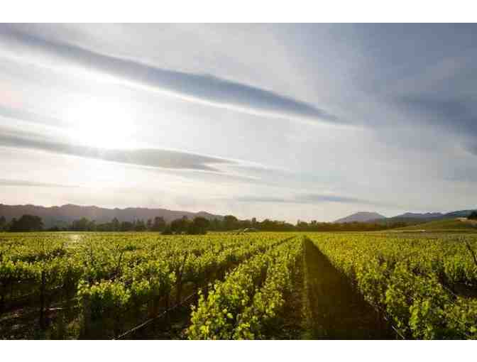 Honig Vineyard & Winery: Eco-Tour and Tasting for Four + Two Bottles of Wine