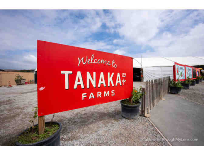 Tanaka Farms: Seasonal Farm Tour for Four