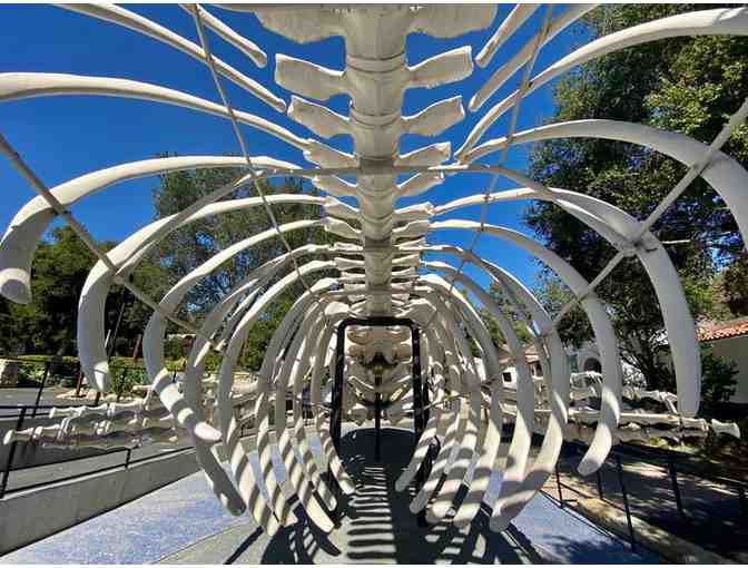 Santa Barbara Museum of Natural History: Four Guest Passes