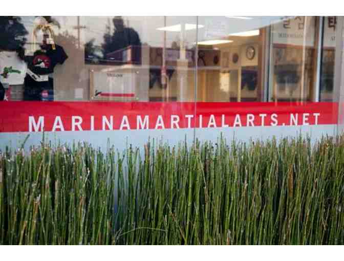Marina Martial Arts: Two Weeks of Kickboxing Group Classes