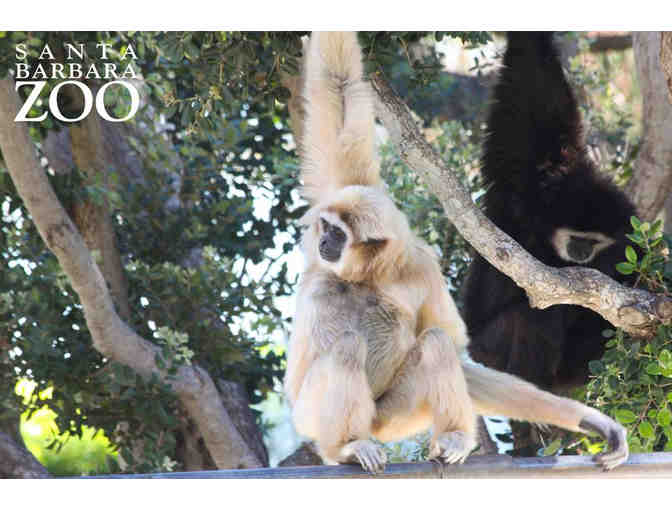 Santa Barbara Zoo: Two Guest Passes + Parking
