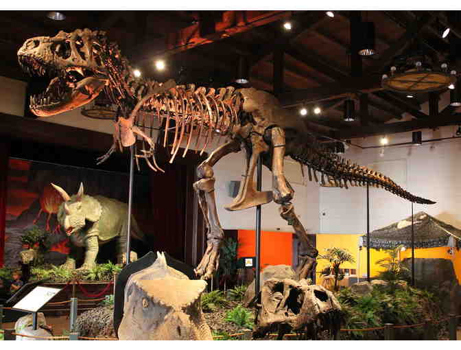 Santa Barbara Museum of Natural History or Sea Center: Four Guest Passes