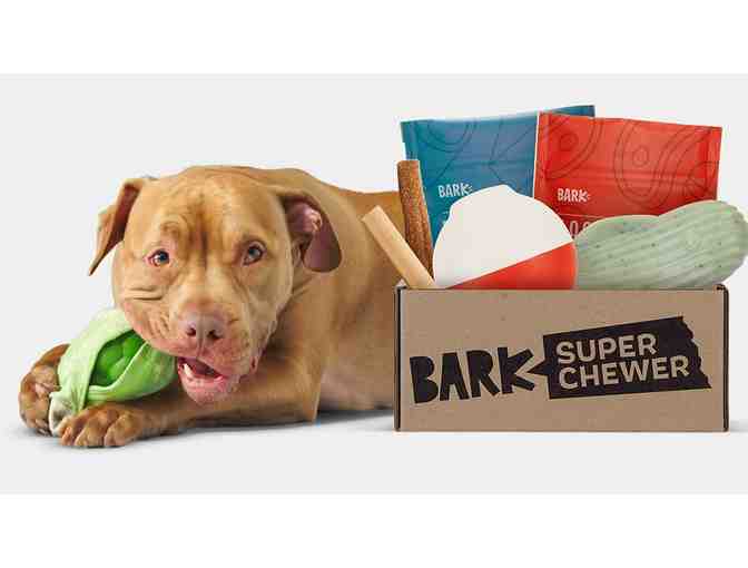 BarkBox: One Super Chewer Box - Photo 3