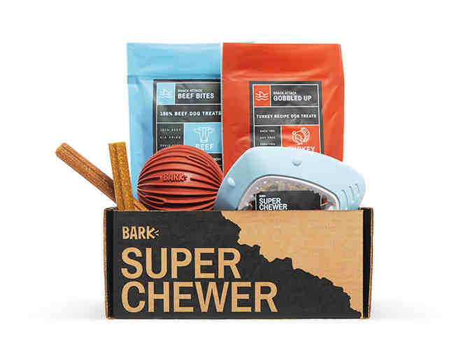 BarkBox: One Super Chewer Box - Photo 5