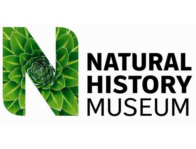 Natural History Museum/La Brea Tar Pits & Museum: Admission for 4