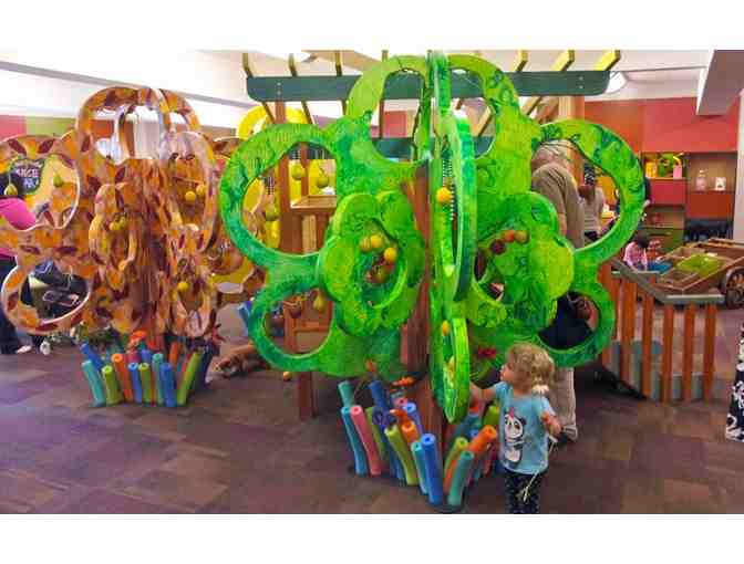 Children's Museum Tucson Oro Valley - 4 Admission Passes #2