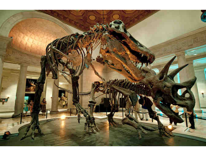 Natural History Museum of LA County & La Brea Tar Pits and Museum - Admission for 4