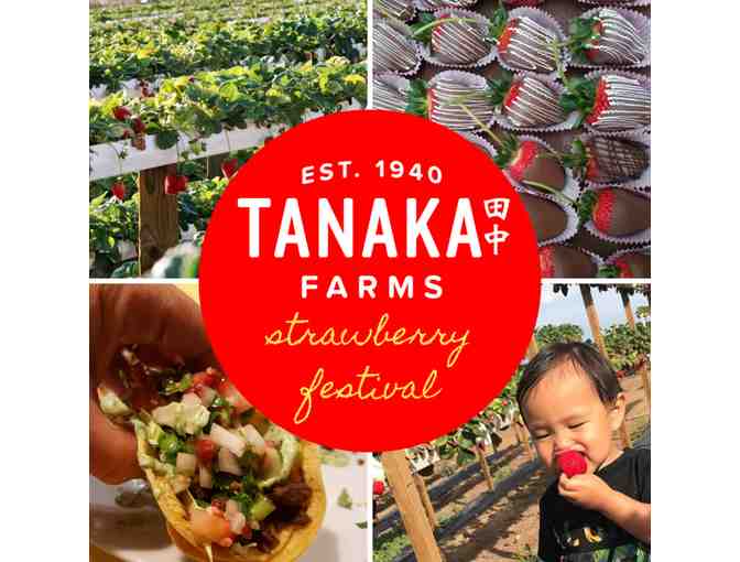 Tanaka Farms - Seasonal Farm Tour for 4