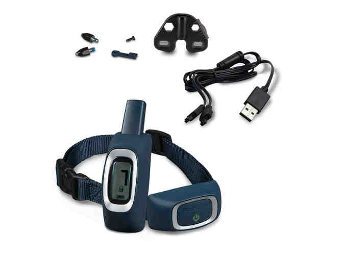 PetSafe - 100 Yard Remote Trainer