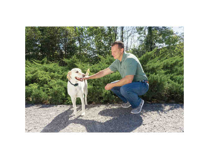 PetSafe - 100 Yard Remote Trainer