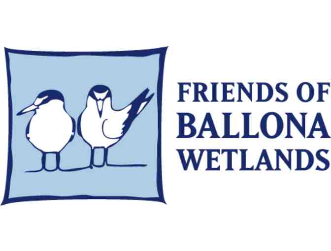 Friends of Ballona Wetlands - Private Bird Watching Tour of Ballona Wetlands for 20