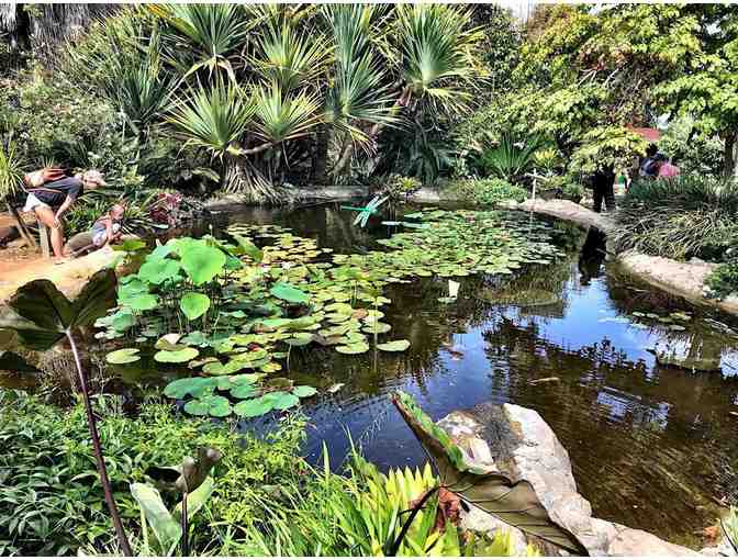San Diego Botanic Garden - 4 Admission Tickets