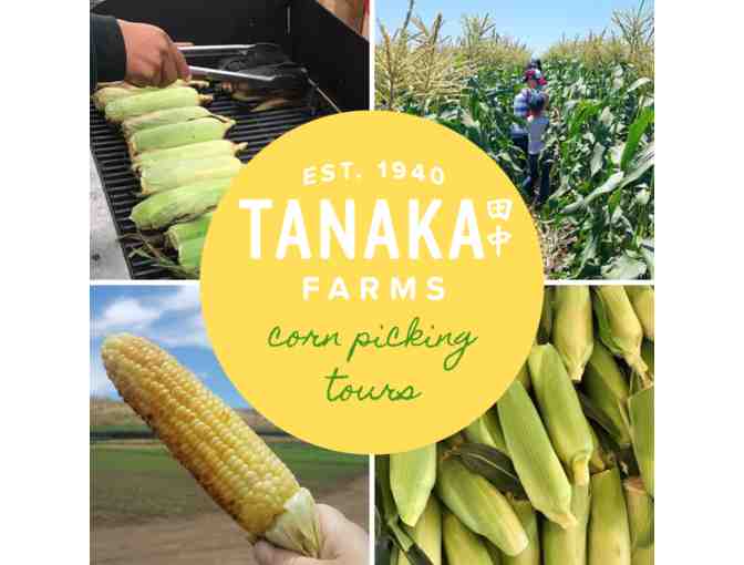 Tanaka Farms - U-Pick Around the Farm Wagon Ride for 4 - Photo 5